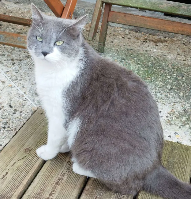 Photo de Rémy