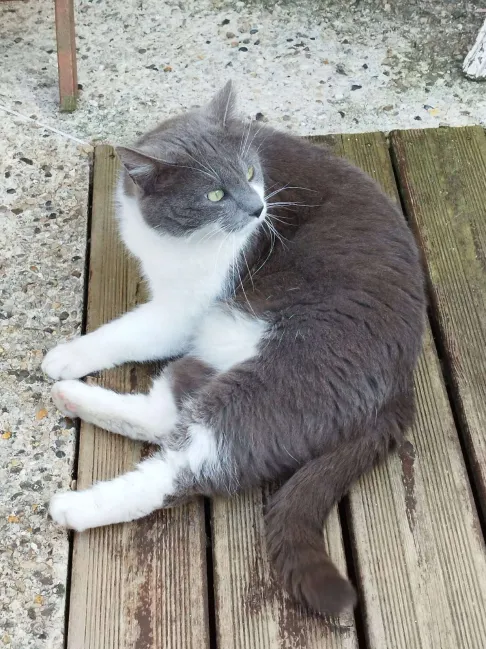 Photo de Rémy
