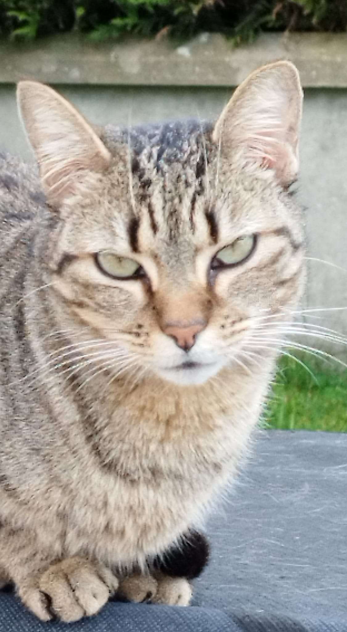 Photo de Milky