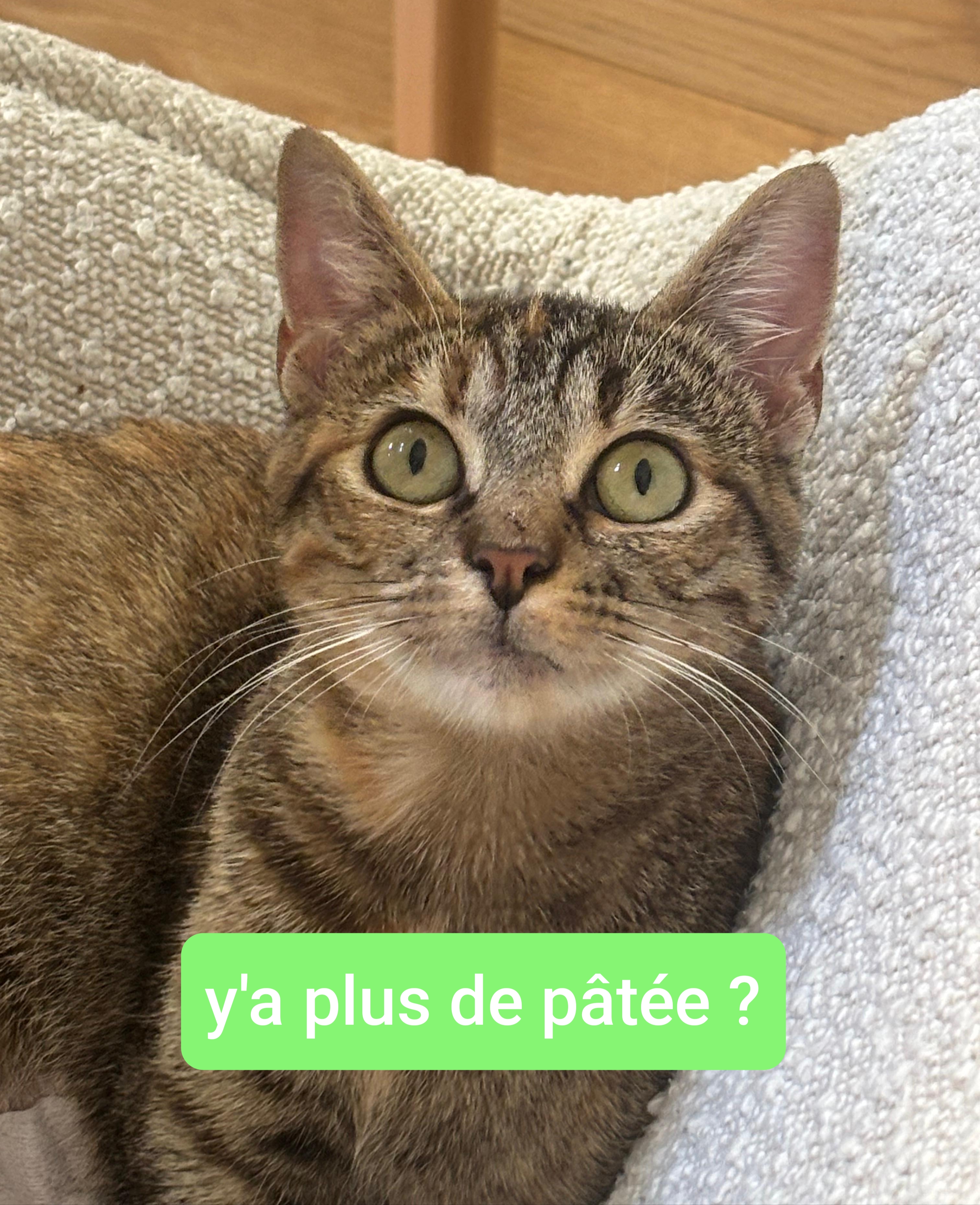 Photo de Agathe