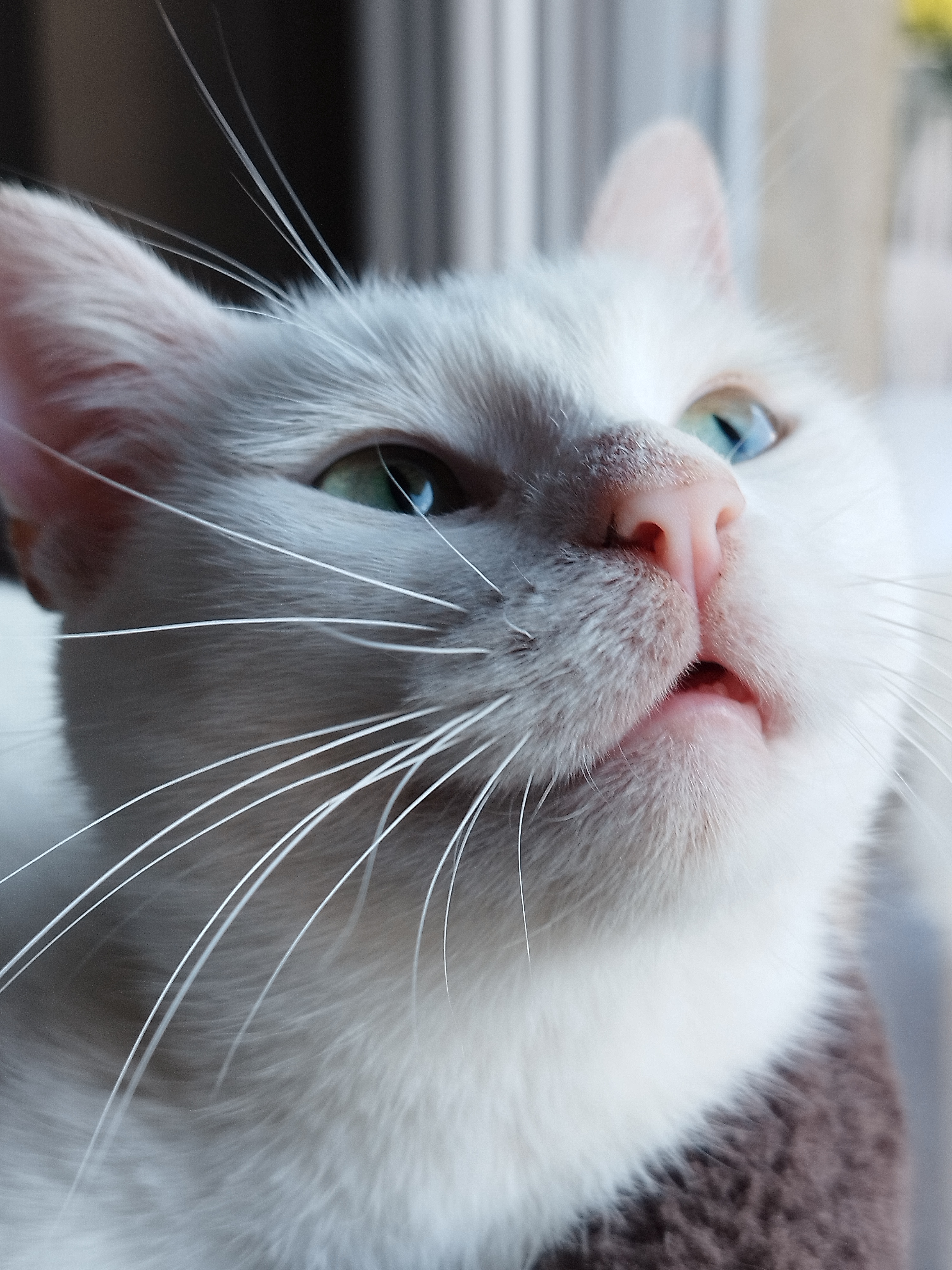 Photo de Mademoiselle