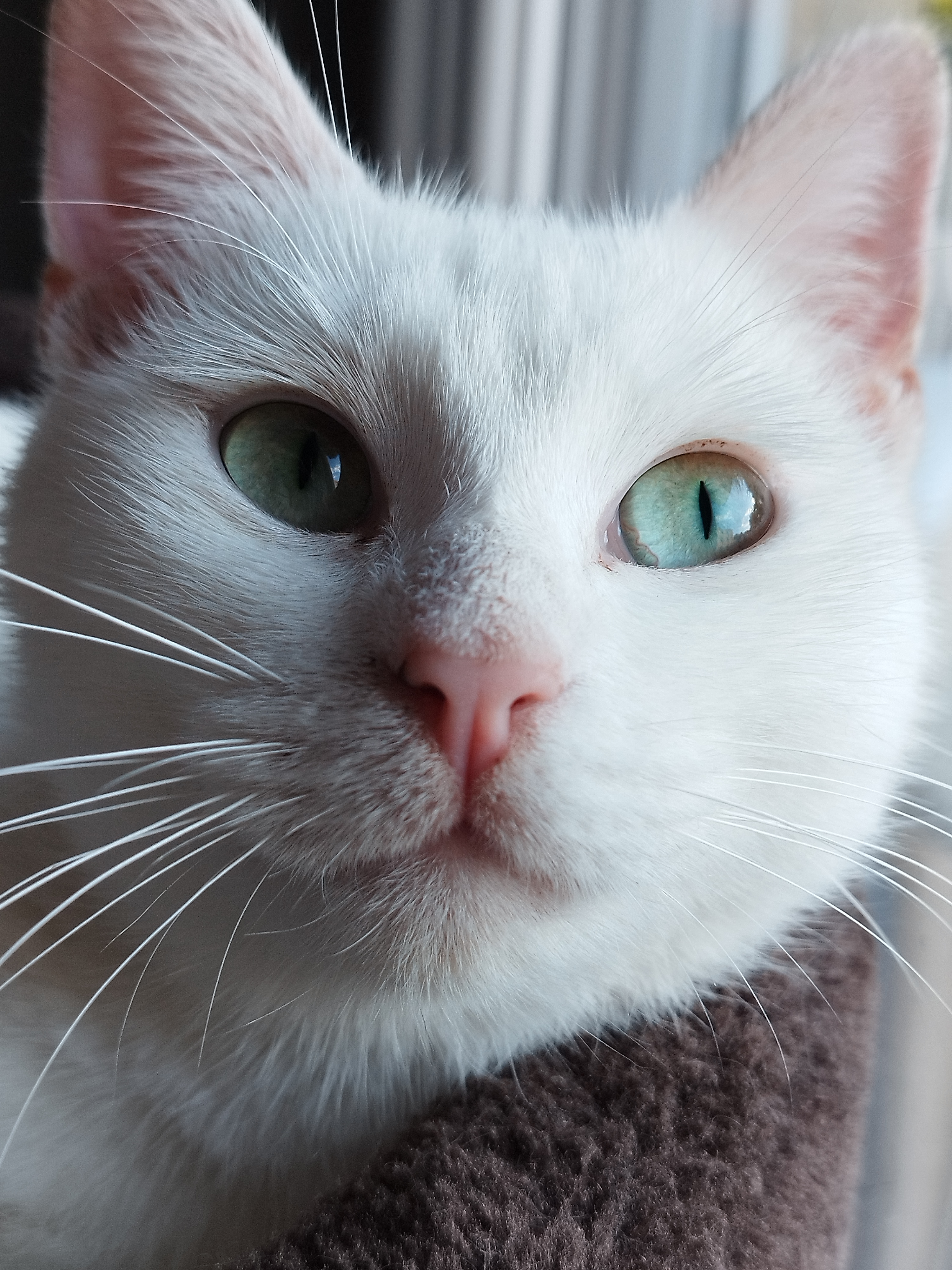 Photo de Mademoiselle