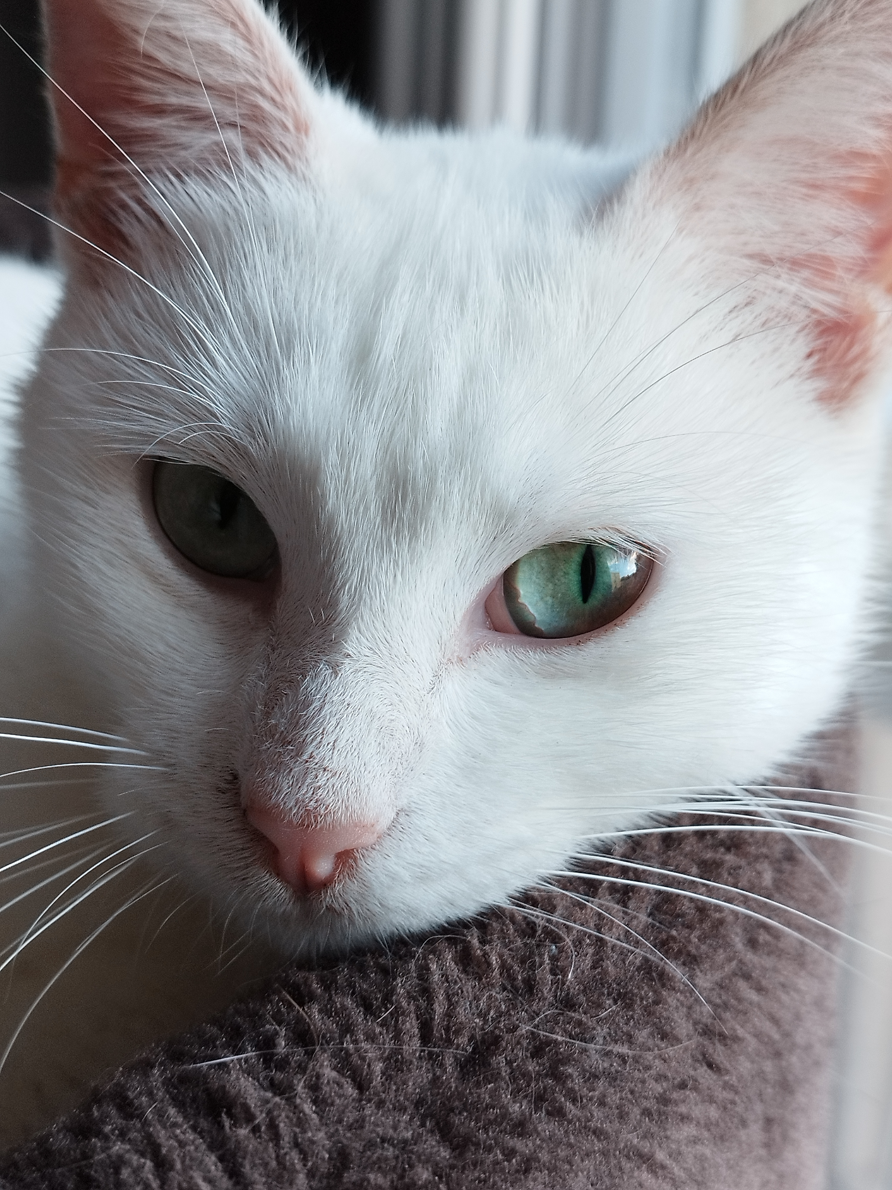 Photo de Mademoiselle