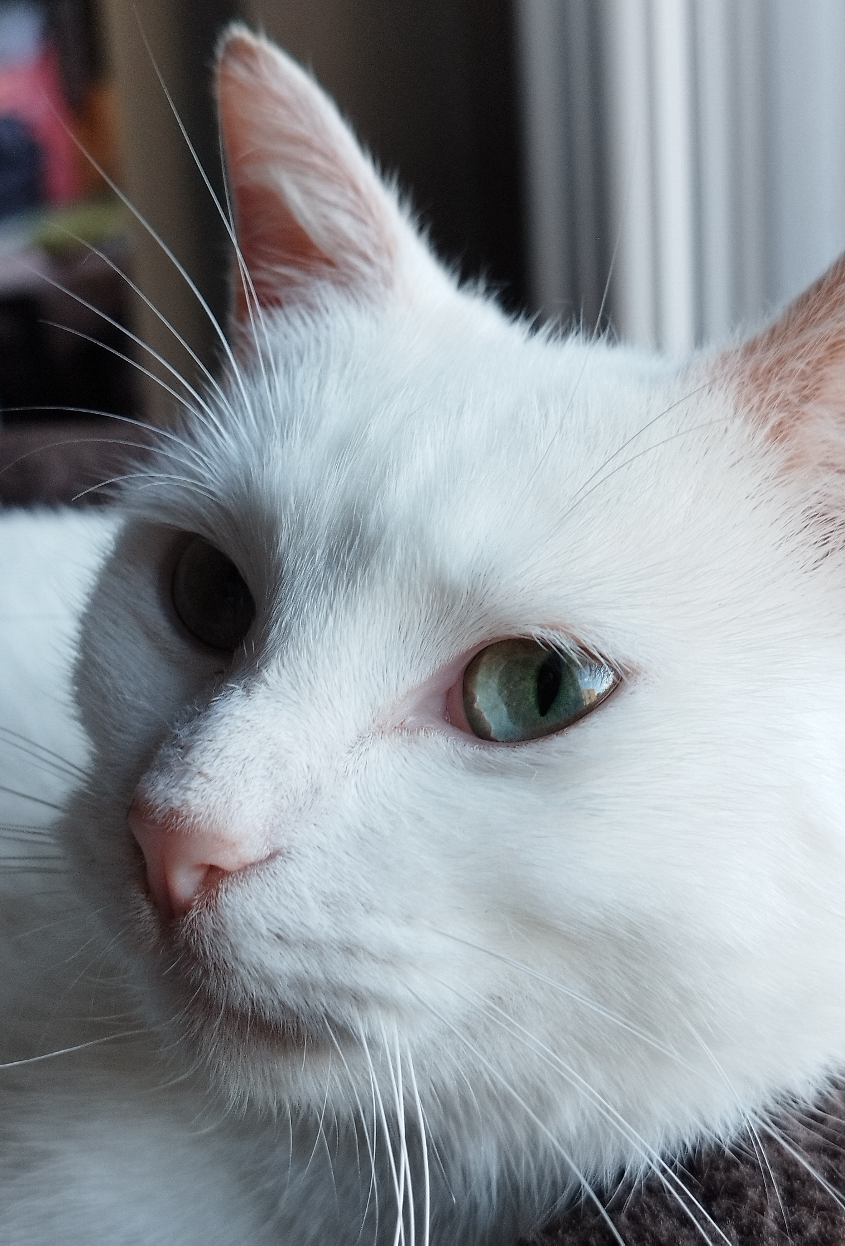 Photo de Mademoiselle